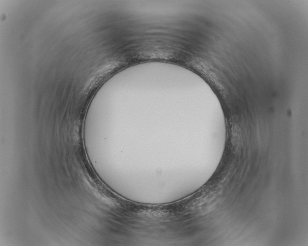 X0000089360537200707061052