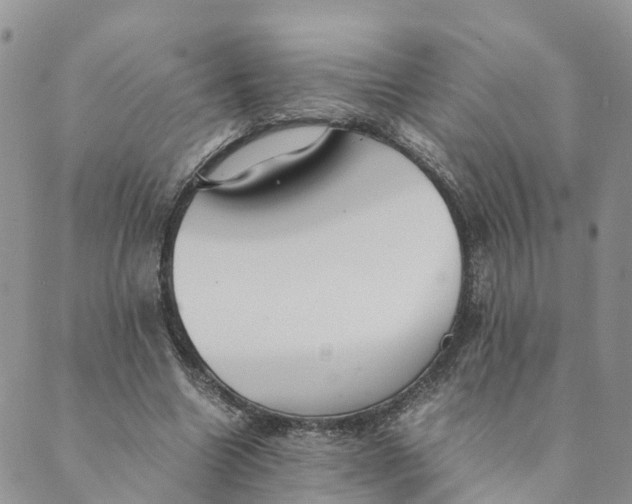 X0000089360538200707061052