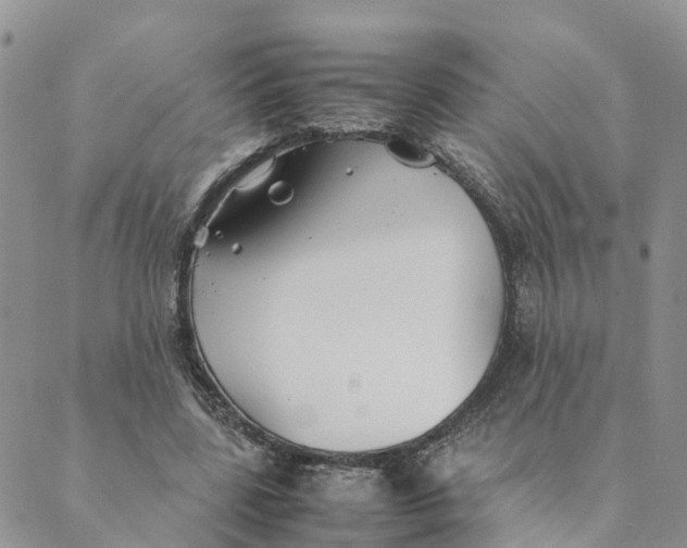 X0000089360539200707061052