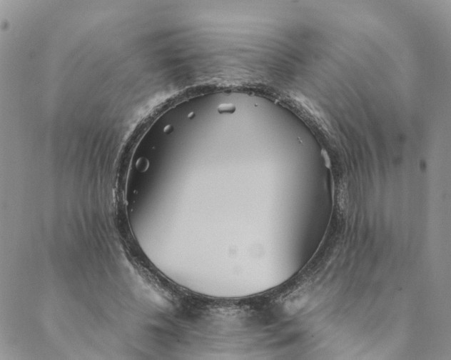 X0000089360540200707061052