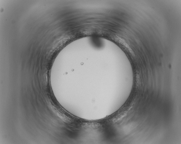 X0000089360541200707061052