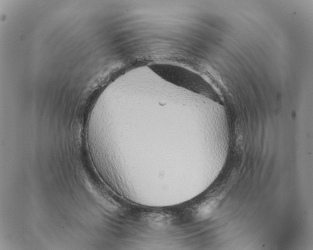 X0000089360542200707061052