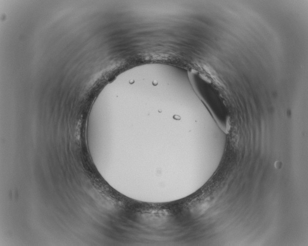 X0000089360543200707061052