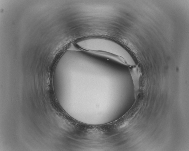 X0000089360544200707061052