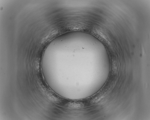 X0000089360545200707061052