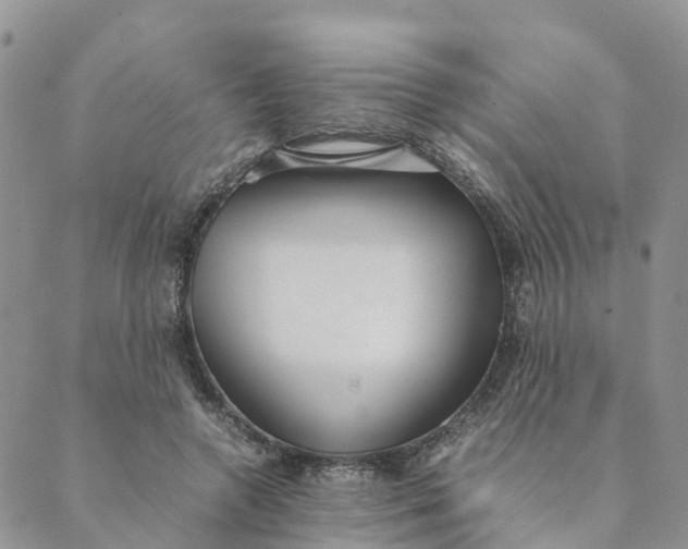 X0000089360546200707061052