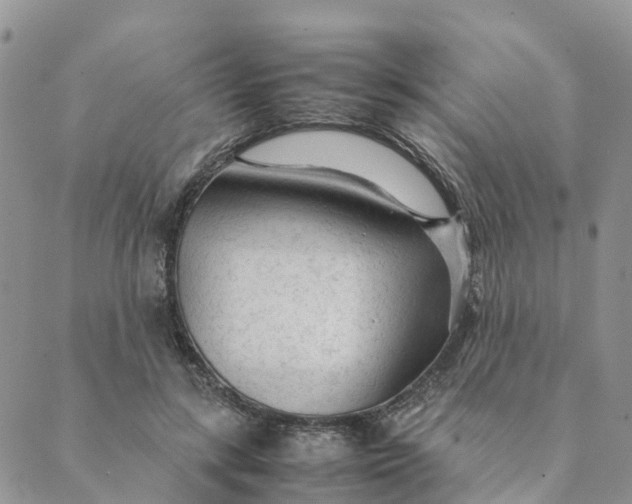 X0000089360547200707061052