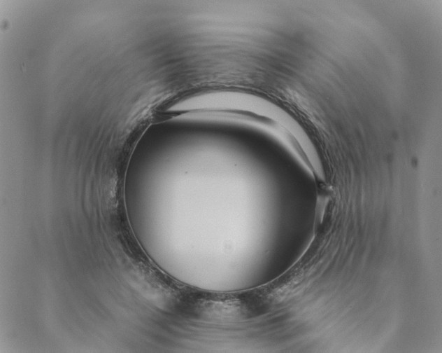 X0000089360548200707061052