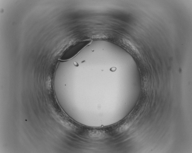 X0000089360549200707061052