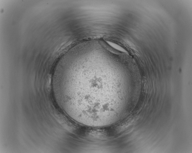 X0000089360550200707061052