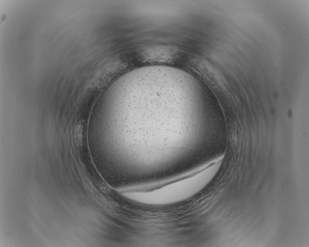 X0000089360551200707061052