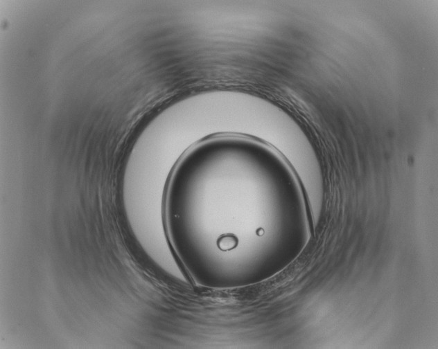 X0000089360552200707061052