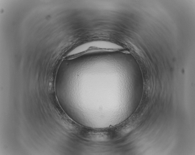 X0000089360553200707061052