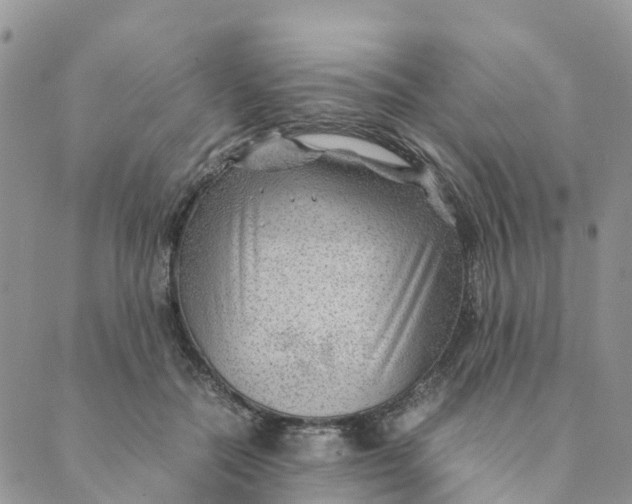 X0000089360554200707061052