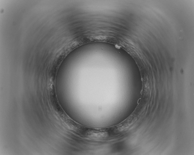 X0000089360555200707061052