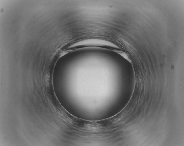 X0000089360556200707061052