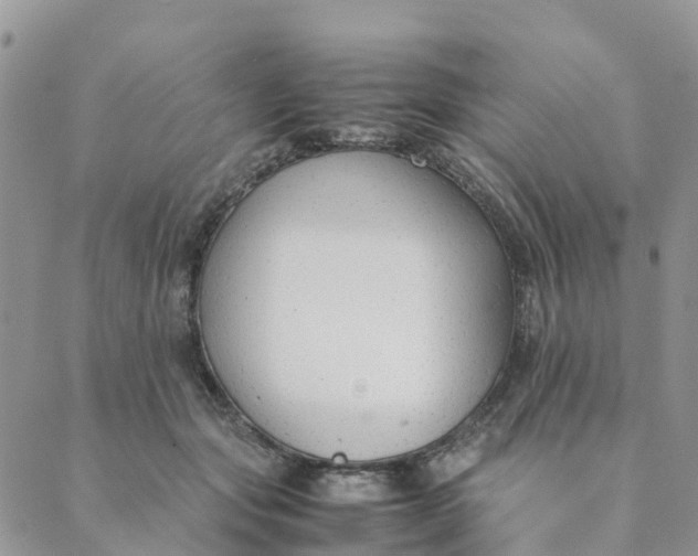 X0000089360557200707061052