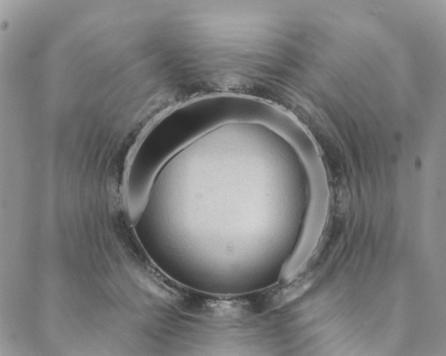 X0000089360558200707061052