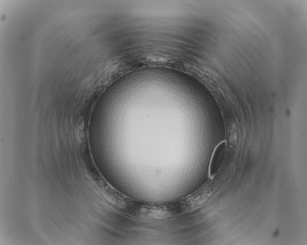 X0000089360559200707061052