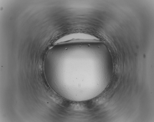 X0000089360561200707061052