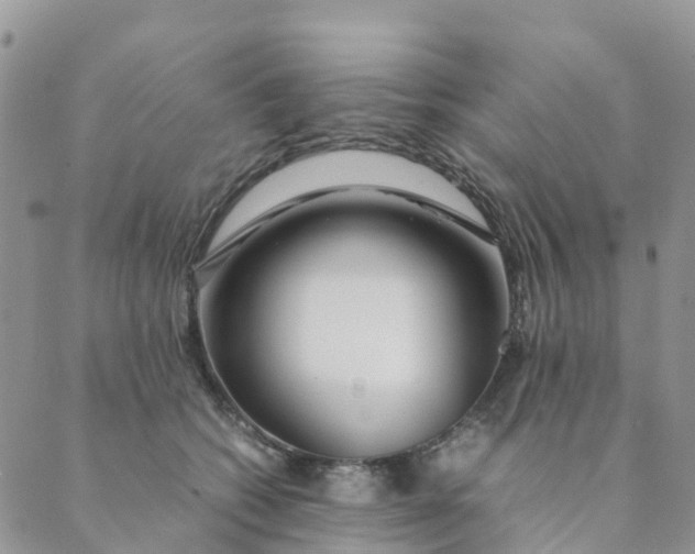 X0000089360562200707061052