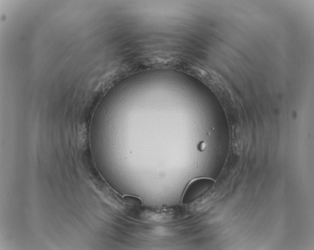 X0000089360563200707061052