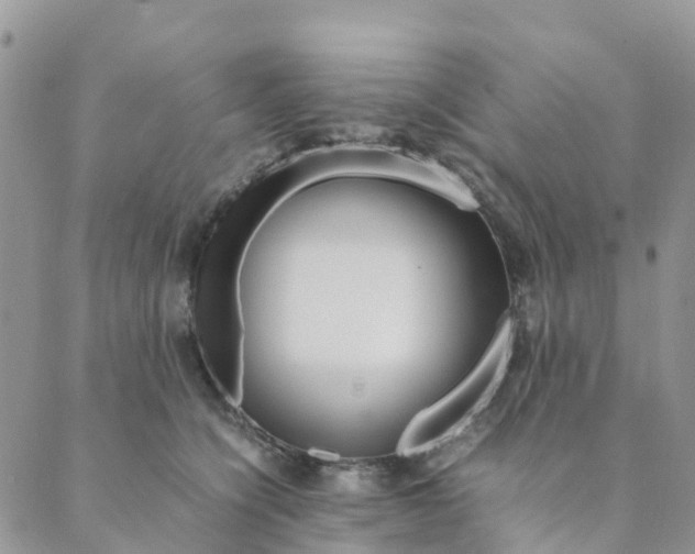 X0000089360564200707061052