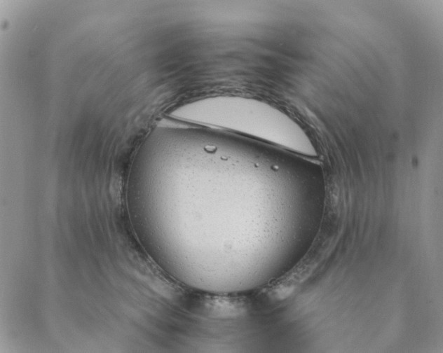 X0000089360565200707061052