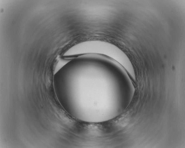 X0000089360566200707061052