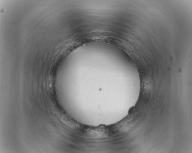 X0000089360567200707061052