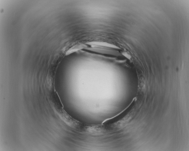 X0000089360568200707061052