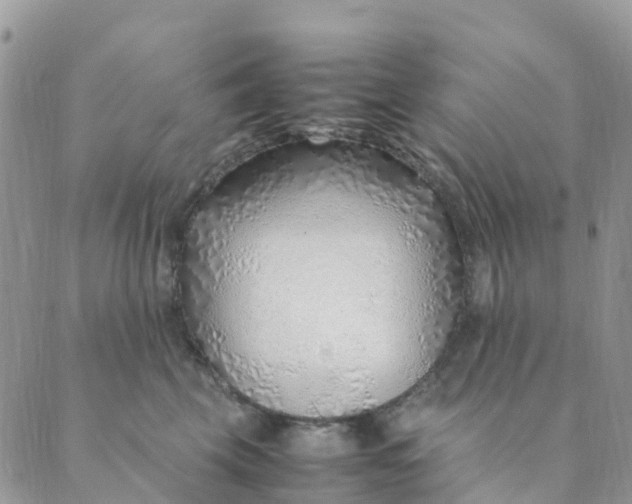 X0000089360569200707061052