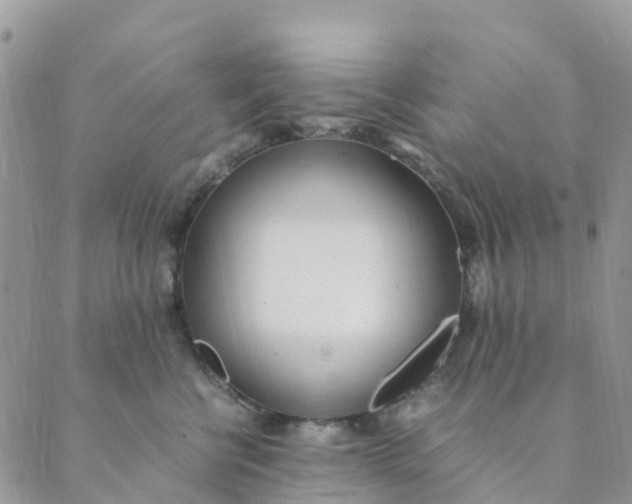 X0000089360570200707061052