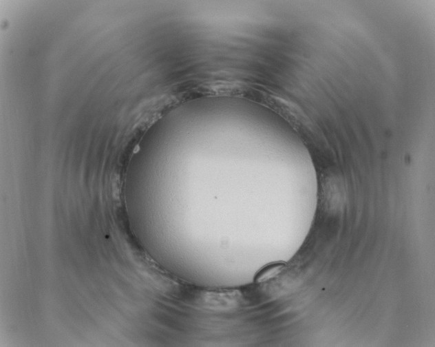 X0000089360571200707061052