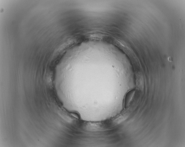 X0000089360573200707061052