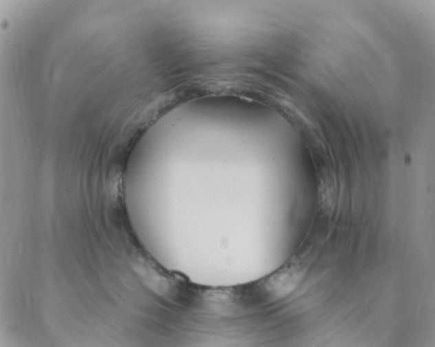 X0000089360574200707061052