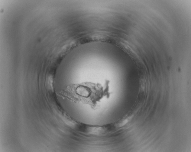 X0000089360575200707061052