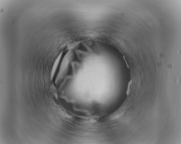 X0000089360576200707061052