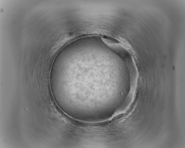 X0000089360577200707061051