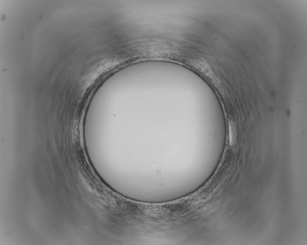 X0000089360579200707061051