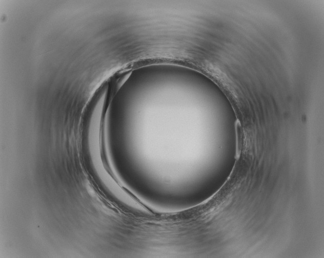 X0000089360580200707061051