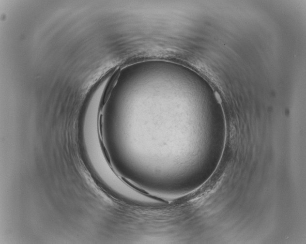 X0000089360581200707061051