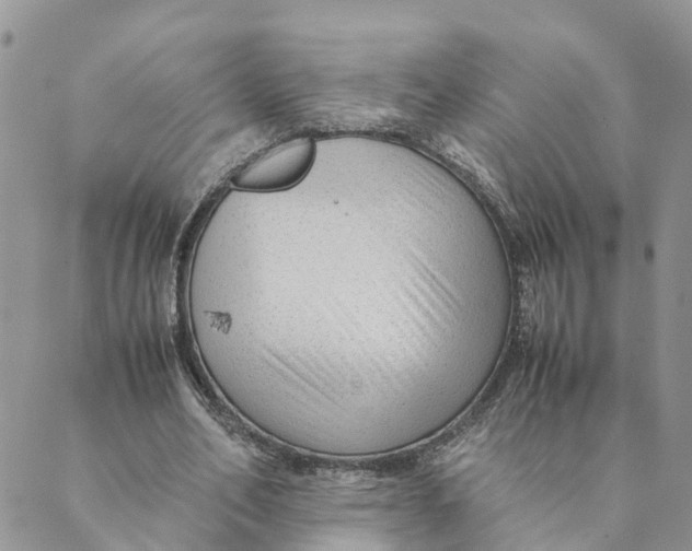 X0000089360582200707061051