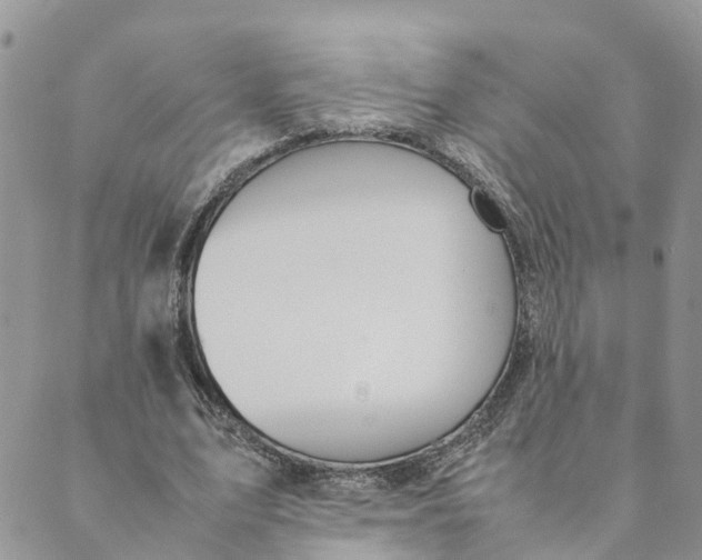 X0000089360583200707061051