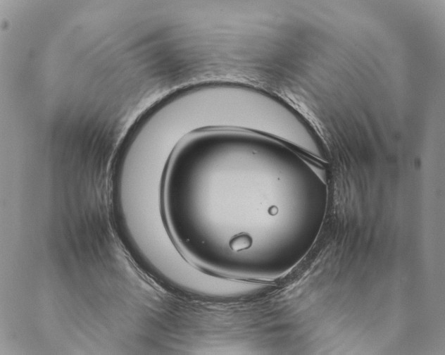 X0000089360584200707061051