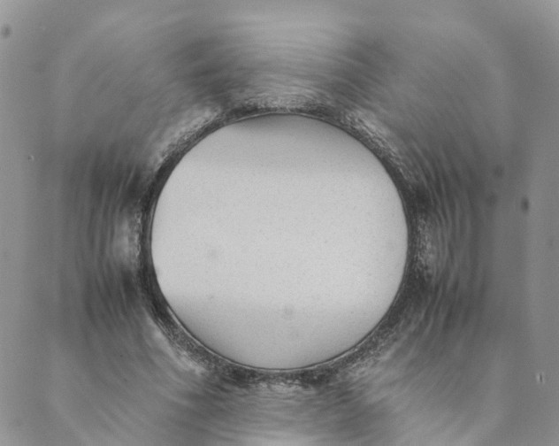 X0000089360586200707061051