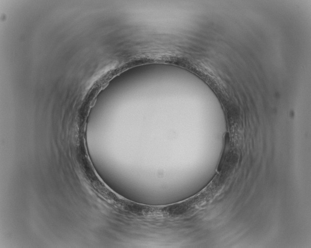 X0000089360587200707061051