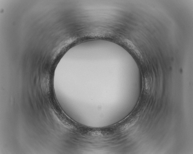 X0000089360588200707061051