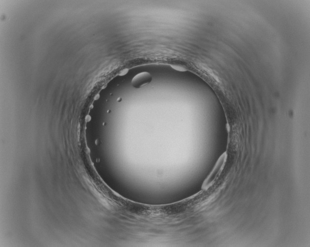 X0000089360589200707061051