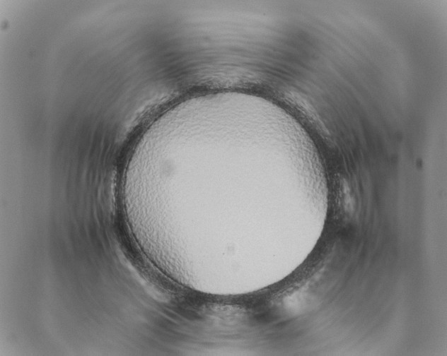 X0000089360590200707061051